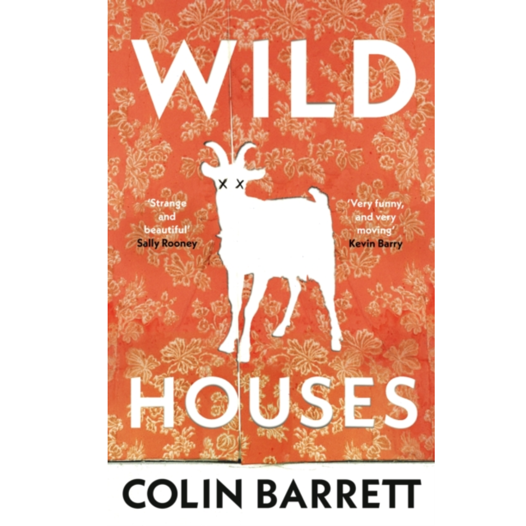 Wild Houses (Irish author - one of the Observer's debut novels of 2024)